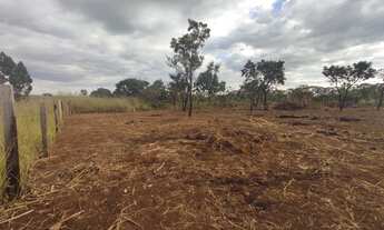 Imagem 6: Lote Incra 9 / 400 mts / 900 mts/ Água e Luz