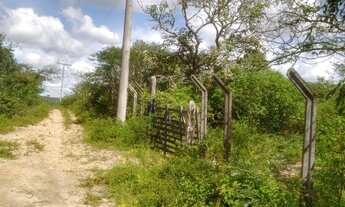 Imagem 5: Terreno com 43 Tarefas