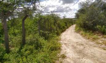 Imagem 6: Terreno com 43 Tarefas