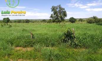 Imagem 2: FAZENDA À VENDA NO FORMOSO DO ARAGUAIA -TO - 2,008 HECTARES (DUPLA APTIDÃO