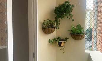 Imagem 4: ALUGA - APARTAMENTO - JARDIM PIRATININGA