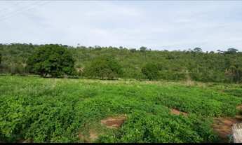 Imagem 2: Área em Barão de Melgaço MT