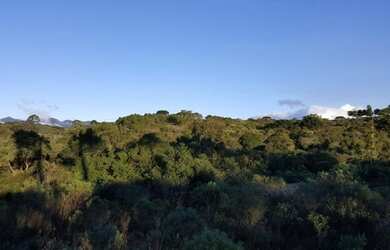 Imagem 10: Terreno com 1.039,56m² em Piraquara - Condomínio Residencial Betaville