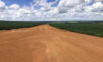 Imagem 7: 350.000.000 Fazenda 417 alqueires para lavoura em Ipameri-Go