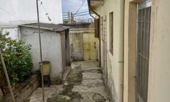 Imagem 4: Térrea para venda com 375 metros quadrados com 3 quartos em Vila Lúcia - São Paulo - SP