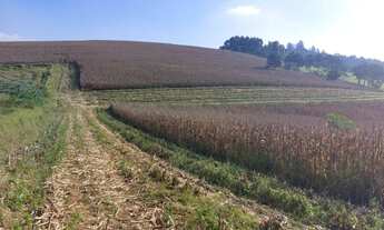 Imagem 2: LOTES/TERRENO EM ATIBAIA