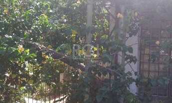 Imagem 7: Casa de 4 dormitórios na Av. Teresópolis bairro Teresópolis