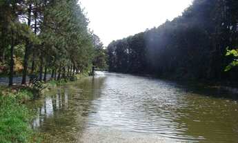 Imagem 3: Casa com 4 dormitórios à venda, 650 m² por R$ 1.800.000 - Condomínio Refúgio dos Pinheiros