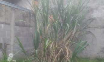 Imagem 5: Casa a venda Jardim Satélite