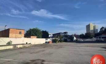 Imagem 3: Santo André - Terreno Padrão - Vila Camilópolis