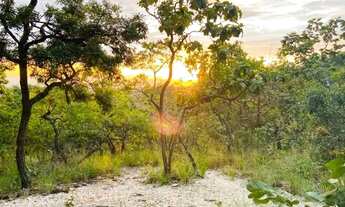 Imagem 2: Chácara Quintas Belo Monte Aparecida de Goiânia