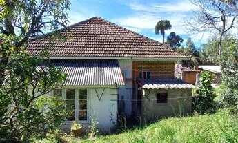 Imagem 3: Terreno no Centro de Canela!