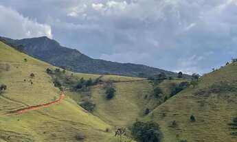 Imagem 5: Fazenda Boiadeira 410 hectares