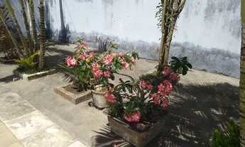 Imagem 6: Vendo sítio ou troco por casa em Fortaleza