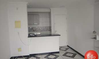 Imagem 3: São Paulo - Apartamento Padrão - Pari