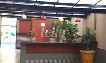 Imagem: Santo André - Apartamento Padrão - Parque