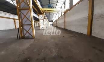 Imagem 4: São Paulo - Galpão/Depósito/Armazém - Mooca