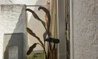 Imagem 7: Sobrado 2 dormitórios à venda, 167 m² Planalto Paulista - São Paulo/SP