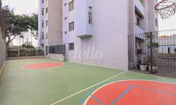 Imagem 7: São Paulo - Apartamento Padrão - Mooca