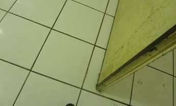 Imagem 7: Ponto comercial/Loja/ na Av. Jabaquara - 120 metros da estação Praça da Árvore