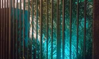 Imagem 3: 2 quartos 1 banheiro Apartamento/condomínio