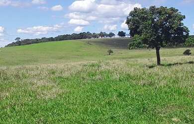 Imagem 4: Fazenda à venda, 1016400 m² por R$ 565.000,00 - Chácara Paraíso - Jacarezinho/PR