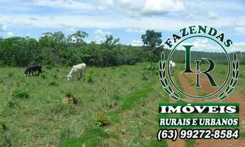 Imagem 6: Fazenda 23 Alqueires Taquaruçu Tocantins