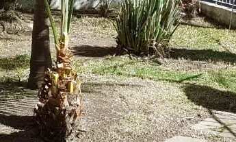 Imagem 15: Casa terrea Casa com 5 dormitórios