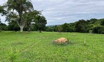Imagem 4: Chácara à Venda 8 Alqueires em Palestina de Goiás-GO