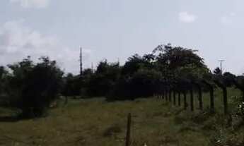 Imagem 3: Vendo Terrenos Escriturados