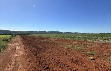 Imagem 4: FAZENDA COM 580HEC COMPLETA, ALTO POTENCIAL!!