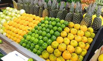 Imagem 6: Passo ponto com sacolão todo montado