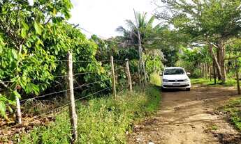 Imagem 3: Vendo sítio em Valença Bahia
