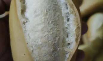 Imagem: Passo ponto de padaria