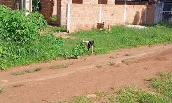 Imagem 2: Terreno com case pré construída PAQUETA