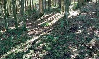 Imagem 7: TERRENO - RIACHO GRANDE - SP