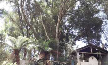 Imagem 7: Casa área rural em São José dos Pinhais