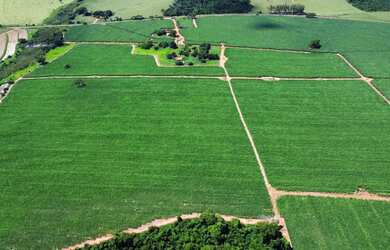 Imagem 5: Vende-se sítio município de Indiaporã