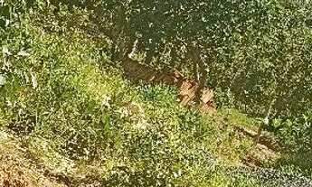 Imagem 6: Chácara com 3 mil metros, no município de Curvelo nas proximidades da cachoeira do choro