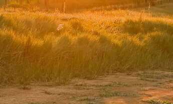 Imagem 5: Terreno vista panorâmica show