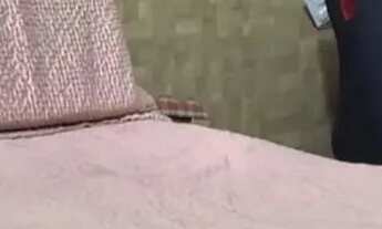 Imagem 5: LINDO APARTAMENTO NA PONTA DO FAROL, VISTA MAR, REFORMANDO E PROJETADO, ANDAR ALTO, DELLAM