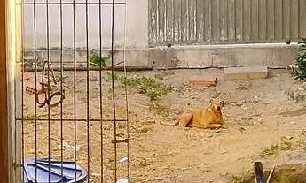 Imagem 4: Casa em parque residencial tubarão!