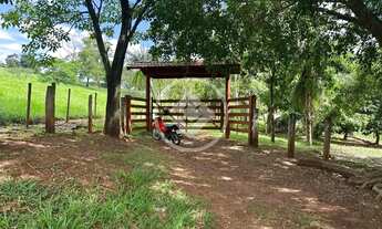 Imagem 4: Chácara próximo de Goiânia codigo: 141036