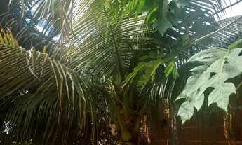 Imagem 7: Vendo casa no distrito do sucuri