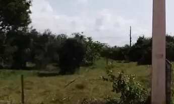 Imagem: Lote à venda em rua pública, MOSQUEIRO