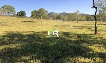 Imagem 2: Fazenda de 42 alqueires (207 hectares) - Pires do Rio - Go