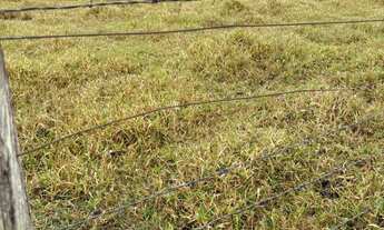 Imagem 4: Ótimo terreno 5.000m2 a 15 min de Sorocaba !!