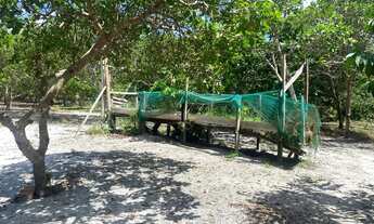 Imagem 6: SÍTIO NA ESTRADA DE NOVO AIRÃO