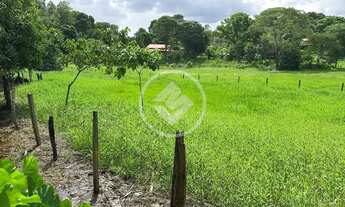 Imagem 6: Chácara próximo de Goiânia codigo: 141036