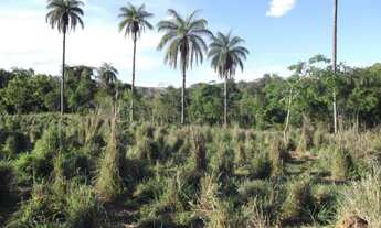 Imagem 7: Jaboticatrubas!!!terreno rural de 60 mil metros As Margens do Rio * ZAP Guilherme